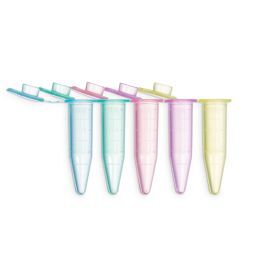 Safe seal cup rainbow 0.65ml rn-dnasevrij.