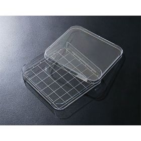 TC Petriplaat vierkant 125x125mm, raster, steriel