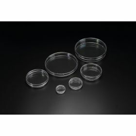 TC petriplaat 150 mm x 20 mm, behandeld, steriel
