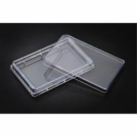 SPL Tray plate rechthoekig 80cm² culture treated