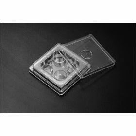 SPL TC 4-wellplaat 1ml