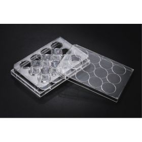 SPL TC 12-wellplaat 2 ml, behandeld, steriel