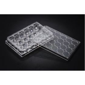 SPL TC 24-wellplaat 1 ml steriel