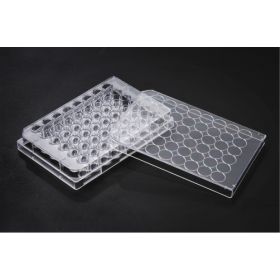 SPL TC 48-wellplaat 0,5 ml, behandeld, steriel