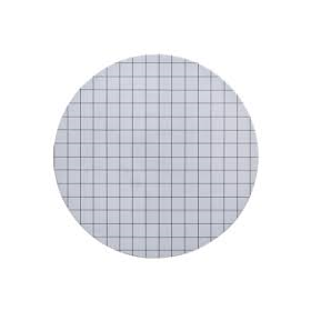 ME24/21 steriele membraanfilter wit/zwart raster 0,2µm D47mm