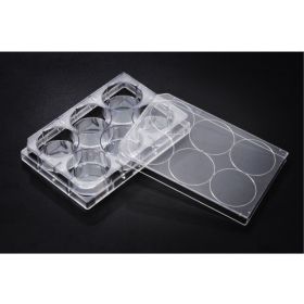 SPL TC 6-wellplaat 3 ml 9,6 cm², niet behandeld, steriel