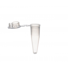 Pcr cups 0.2ml, dunne wand en platte dop