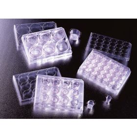 Cell culture insert met PET membraan - pore 0,4µm - 24 well