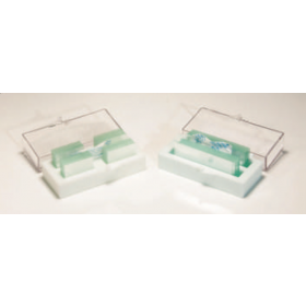 Dekglaasje 22 mm x 22 mm NX