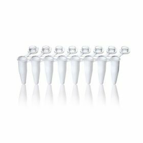 PCR strips 8 single caps standaard wit 0,2ml