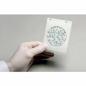 Petrifilm 3M Yeast/Fungi plate