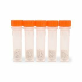 Ohaus Oranje, Celcultuur, 2mL buis, 100/doos