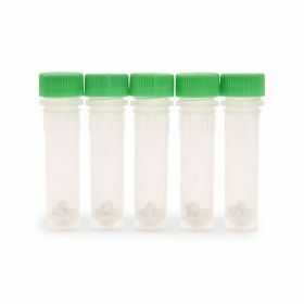 Ohaus Groen, Plant, 2mL buis, 100/doos