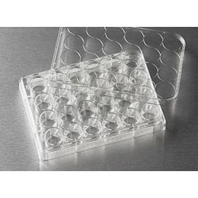 Costar®24-well plaat, niet-behandeld ST/5