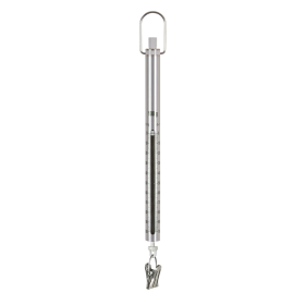 KERN 281-301 veerbalans - 100 g - 1 g