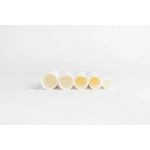 ETG extractiehuls van glasvezel, 41 × 123 mm